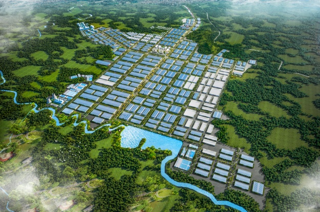 金誠國際經濟產業園